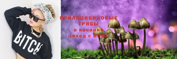 ешки Белокуриха