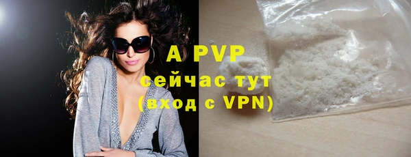 ешки Белокуриха