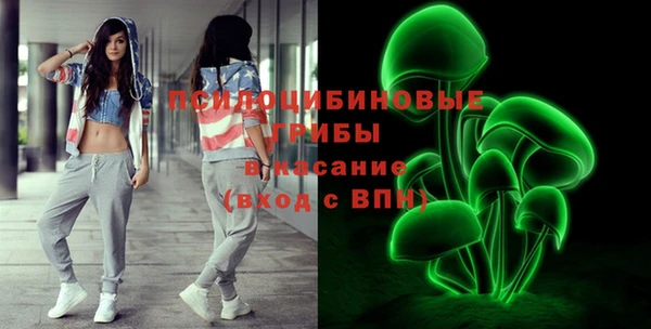 ешки Белокуриха